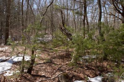 slt_oldrrtrail_096.jpg