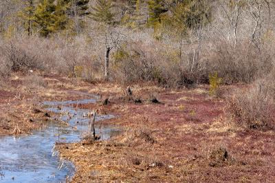 slt_oldrrtrail_110.jpg