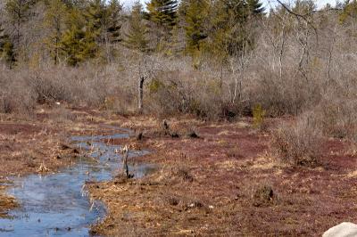 slt_oldrrtrail_111.jpg