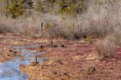 slt_oldrrtrail_112.jpg