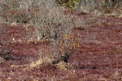 slt_oldrrtrail_124.jpg