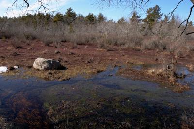 slt_oldrrtrail_206.jpg