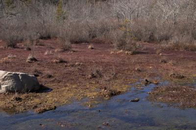 slt_oldrrtrail_209.jpg