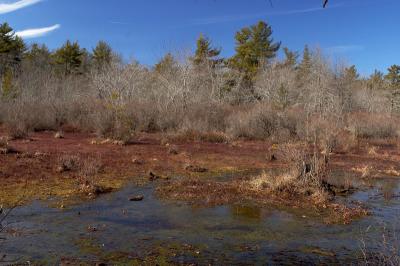 slt_oldrrtrail_214.jpg