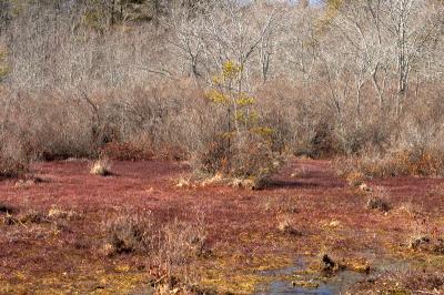 slt_oldrrtrail_215.jpg