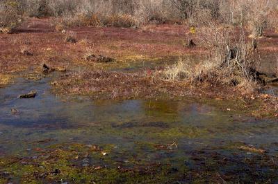slt_oldrrtrail_216.jpg