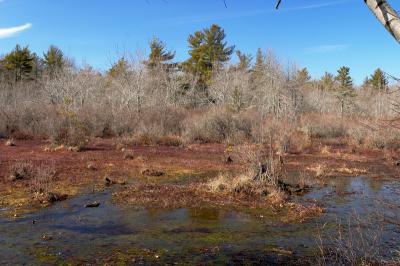 slt_oldrrtrail_217.jpg