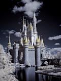 Walt Disney World infrared 5