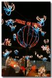 Osborne Family Lights