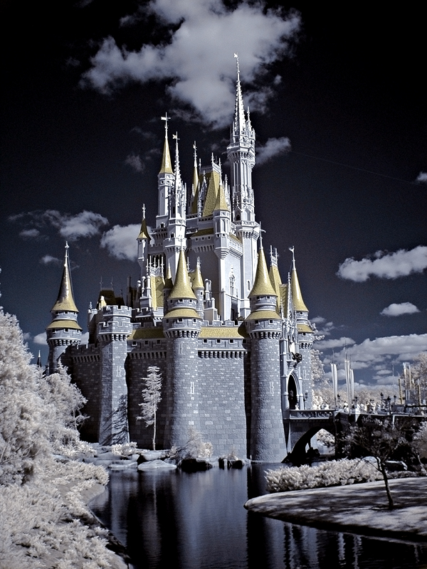 Walt Disney World infrared 5