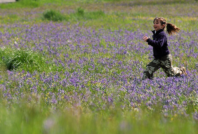 Girl Running in a Meadow 16