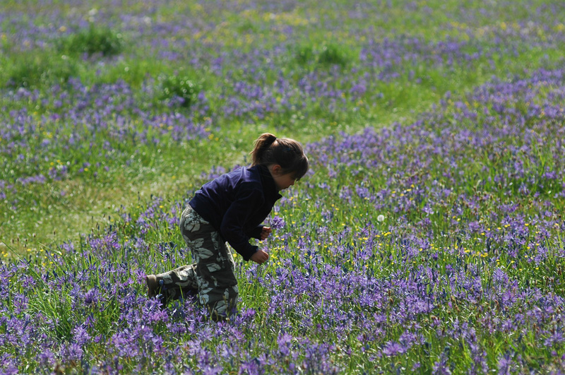 Girl Picking Flowers - 14