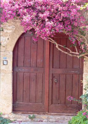 Flower Doors