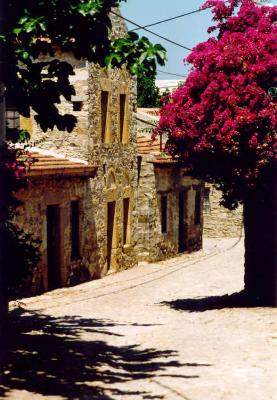 Street Scene Turkey