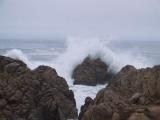 Along 17 mile drive