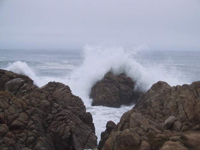 Along 17 mile drive