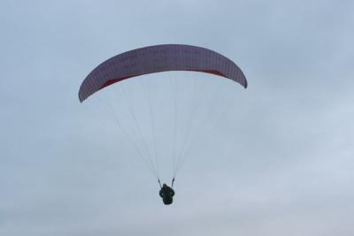 IMG_2505.JPG