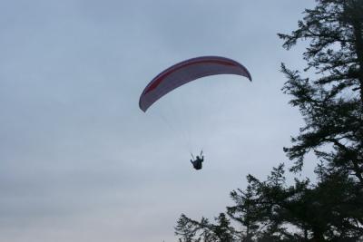 IMG_2509.JPG