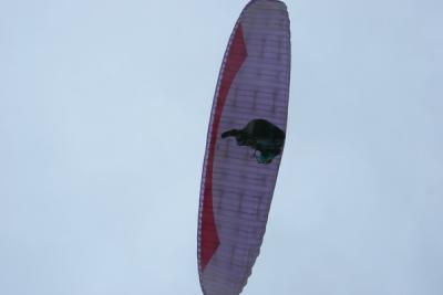 IMG_2510.JPG