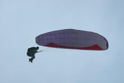 IMG_2511.JPG