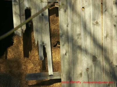 Barn0143.jpg