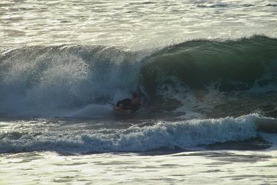 IMG24350.jpg