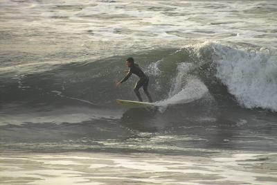 IMG24384.jpg