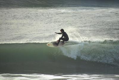 IMG24385.jpg