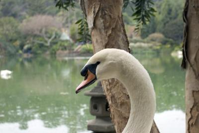 _MG_1378.jpg