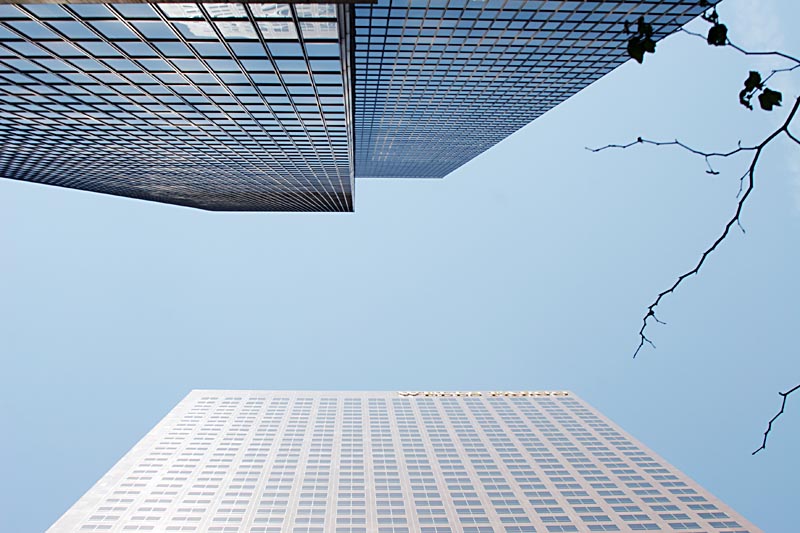 Looking up in downtown LA