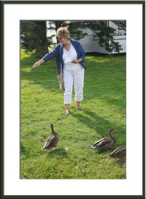 Then it's off to feed the ducks left-over bread and bagels.