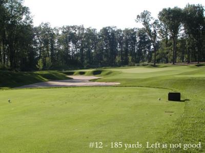 Back nine more traditional.......this is #12 played 200 yards and a beautiful hole