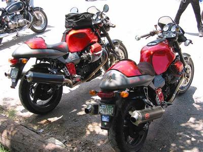 A Pair of Rossos