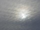 DSC09601.JPG