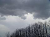 DSC06641.JPG
