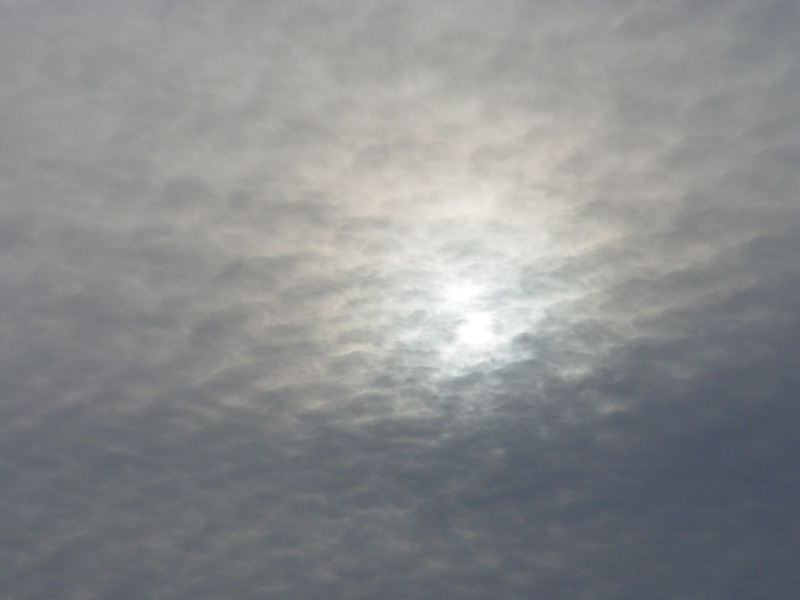 DSC09601.JPG