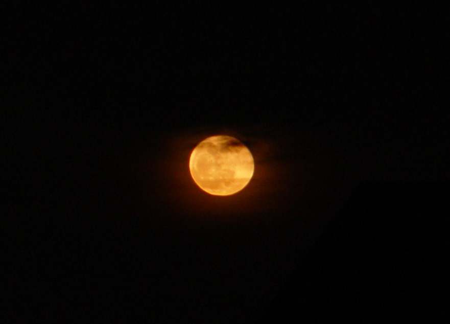 DSC06514.JPG