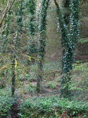 Lisdonagh House, Connemara, Co. Galway