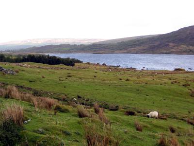 Connemara, Co. Galway