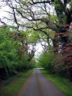 Ballymakeigh House, Youghal, Co. Cork