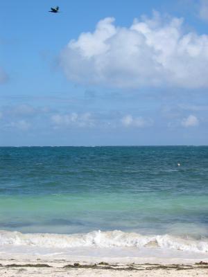 Beach Patrol, Ceiba Del Mar Spa & Resort, Puerto Morelos, Quintana Roo