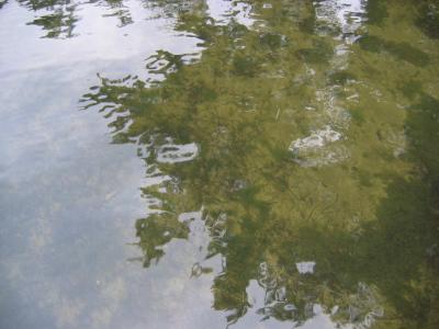 Reflections 3, Lake of Bays, Dorset, Ontario