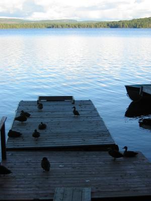 u10/coupedeville/medium/41406885.cottage0013.jpg