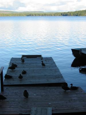 Killarney Lodge, Algonquin Park, Ontario