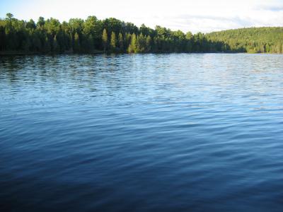 u10/coupedeville/medium/41406886.cottage0015.jpg