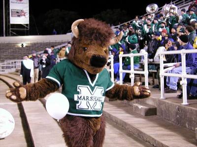 Marshall Mascot