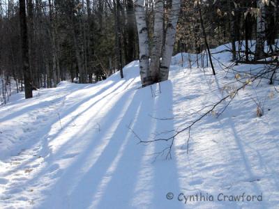  Early AM walk-March sun on Snow in Vermont