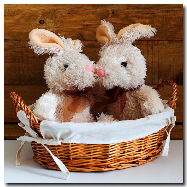 Rustic Bunnies *