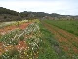 Es Pla de Sant Mateu