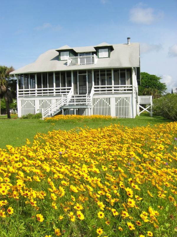 Spring Flowers on Sullivans Island, SC